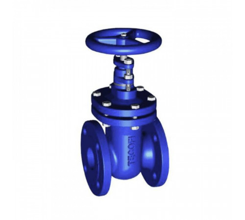 Задвижка чугун V4246 Ду 80 Ру16 Тмакс=150C фл Tecofi V4246-0080